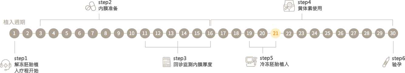 新鮮胚移植が適切でない場合、胚を凍結し、凍結胚移植を行います。