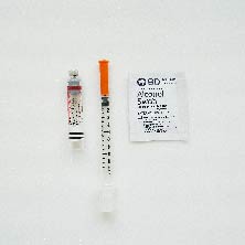 Saizen 帥健