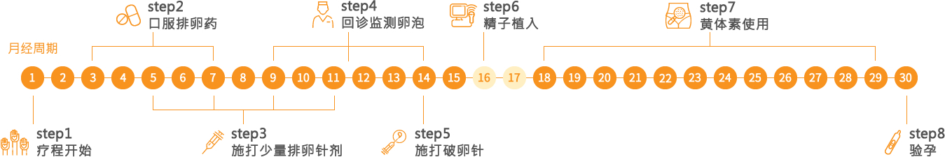 人工授精療程個案