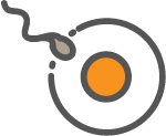 Intrauterine Insemination (IUI)