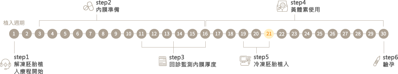 不適合新鮮週期植入的個案，將會把胚胎冷凍，後續進行凍胚植入