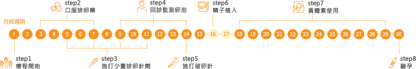 人工授精療程個案