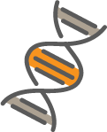 胚の遺伝子の診断