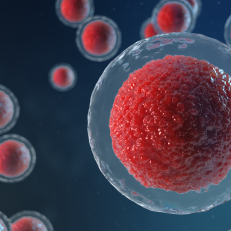 保險買了沒? 不可不知的凍卵哲學